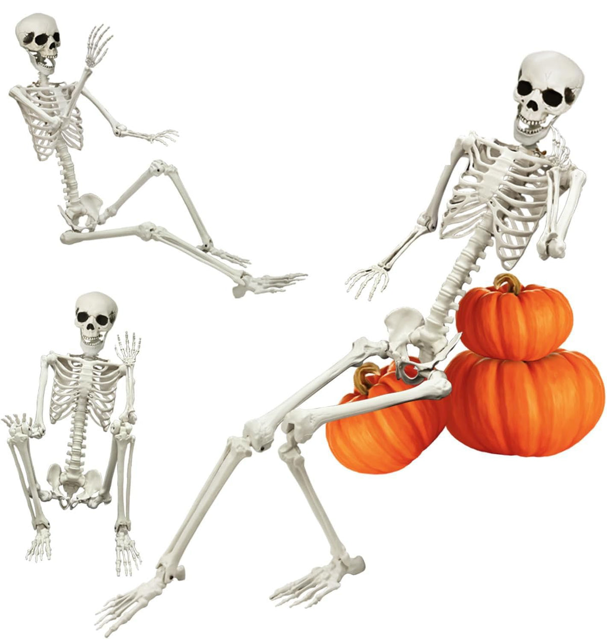 Full Size Poseable Plastic Skeleton F181