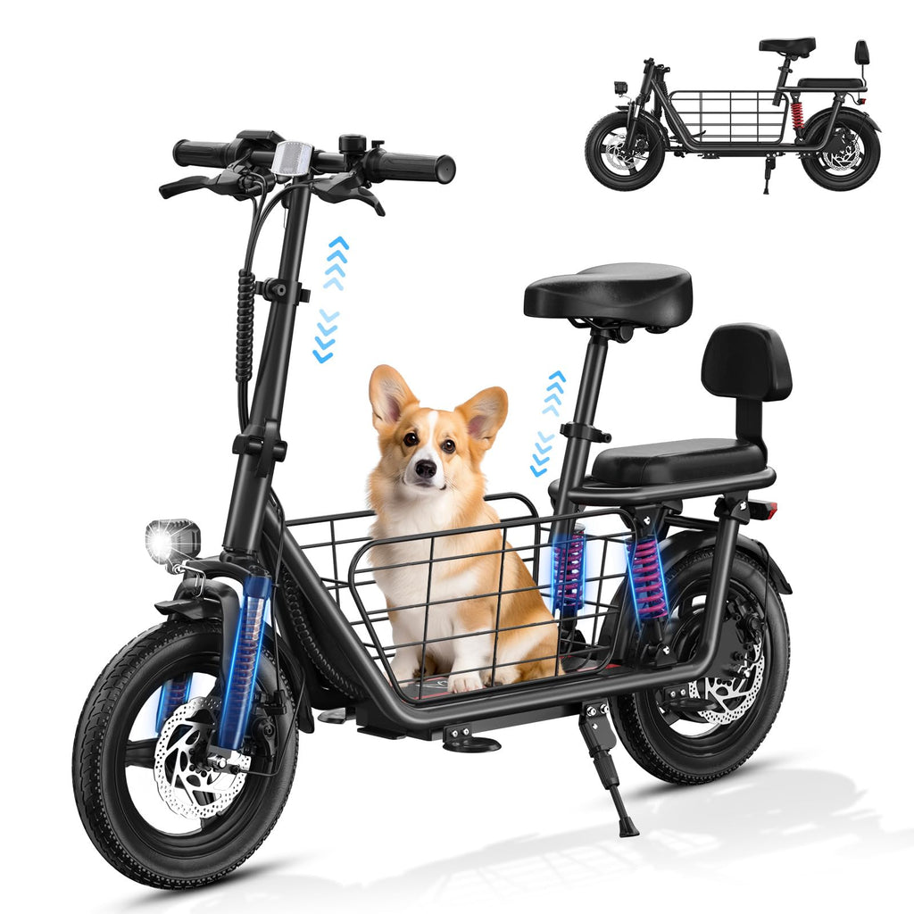 Electric Scooter with Seat C939