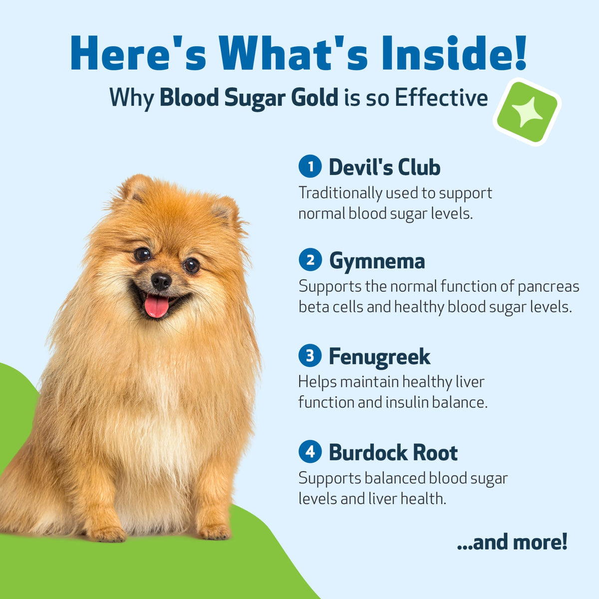 Blood Sugar Support for Dogs 2 oz E90787