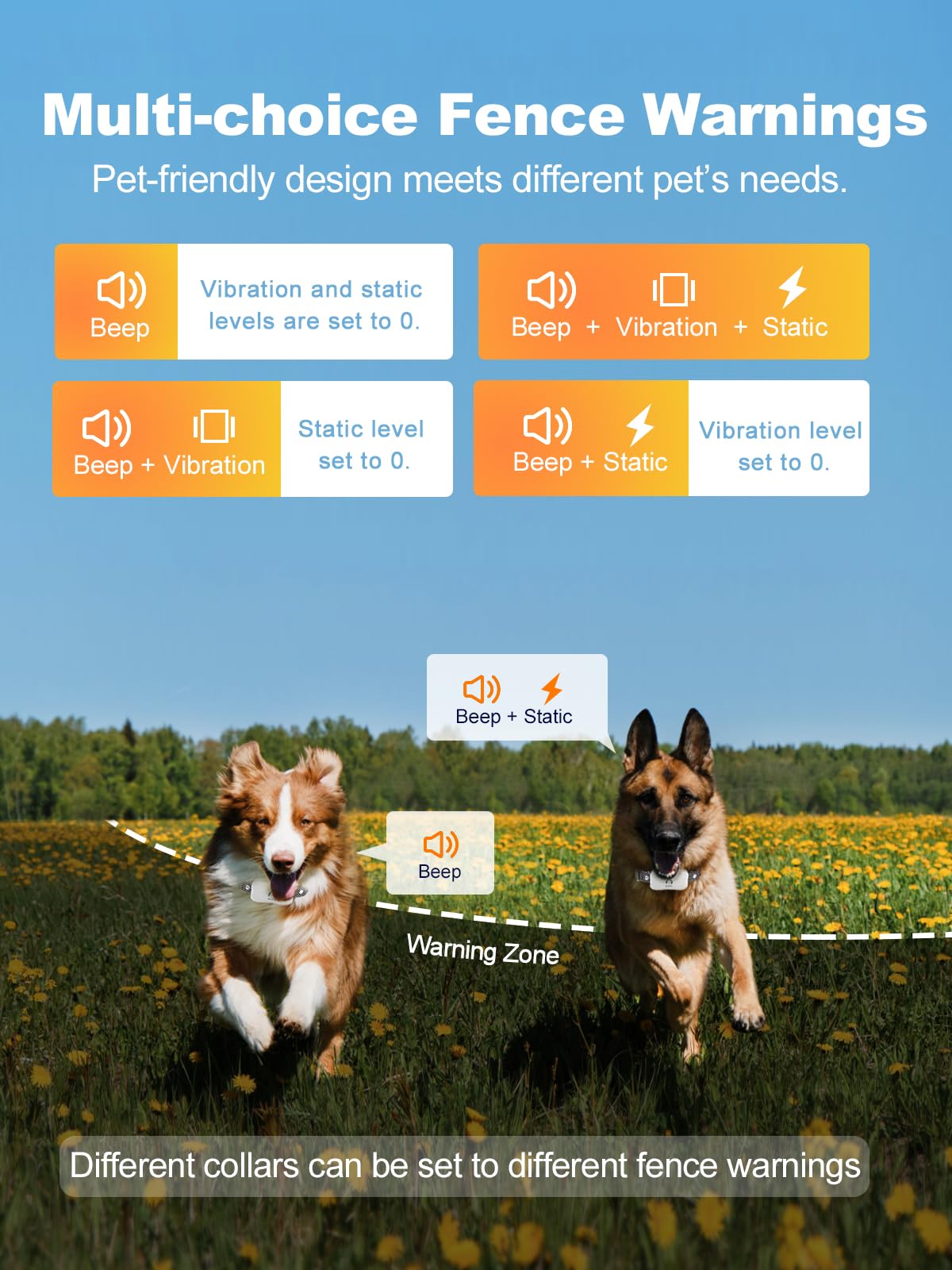 Wireless Dog Fence for 2 Dogs C278