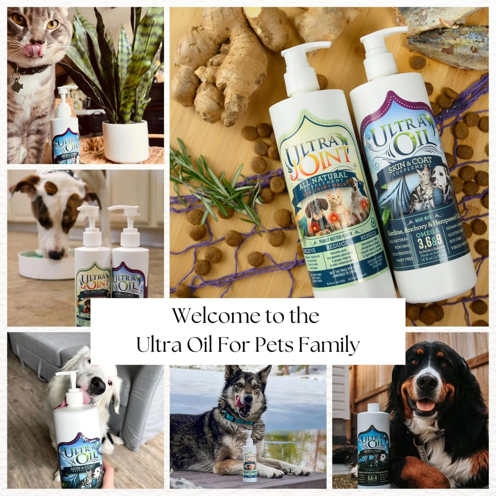 Liquid Joint Support Supplement for Dogs 32 oz C24289