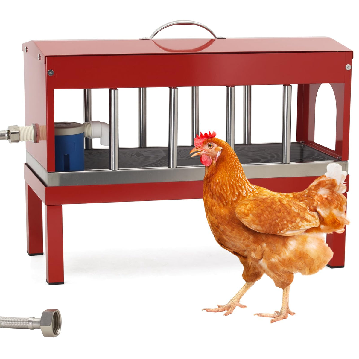 Stainless Steel Automatic Chicken Waterer N744