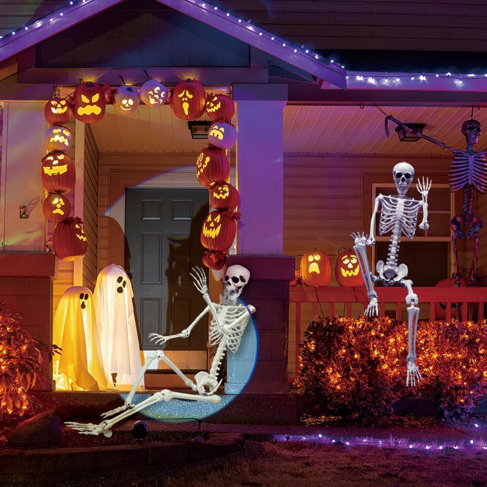 Full Size Poseable Plastic Skeleton F181
