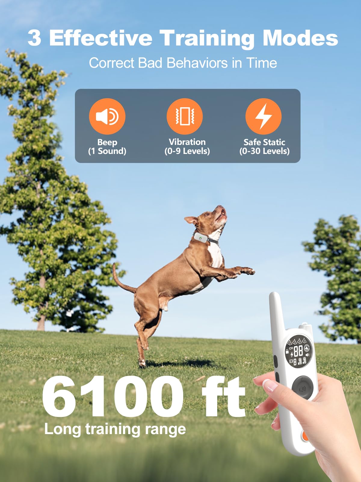Wireless Dog Fence for 2 Dogs C278