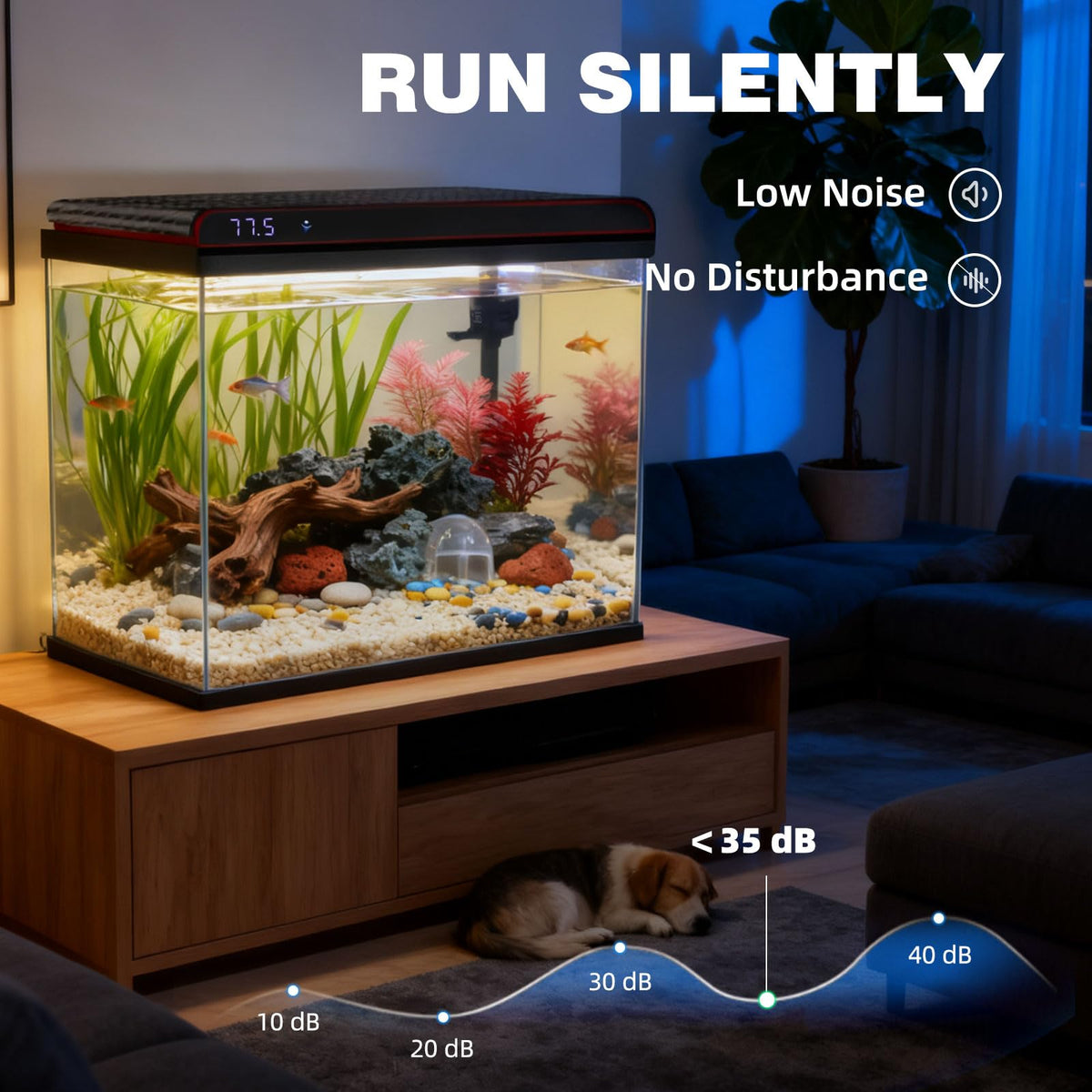 20 Gallon Glass Fish Tank Aquarium Starter Kit with LED Lights Filter Pump C8308