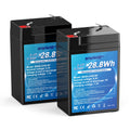 4.5Ah LiFePO4 Battery 2 Pack X199601
