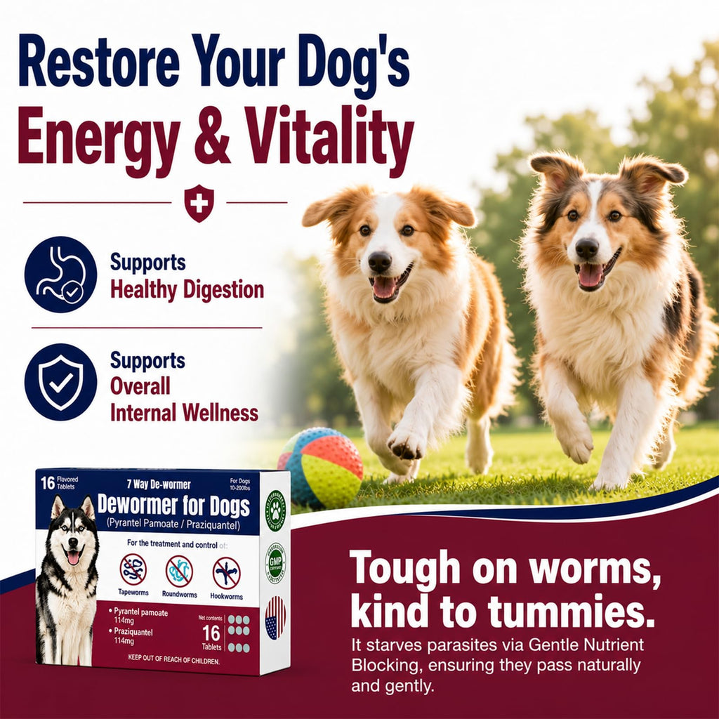 Dewormer for Dogs with Praziquantel & Pyrantel Pamoate, 16 Tablets O1348