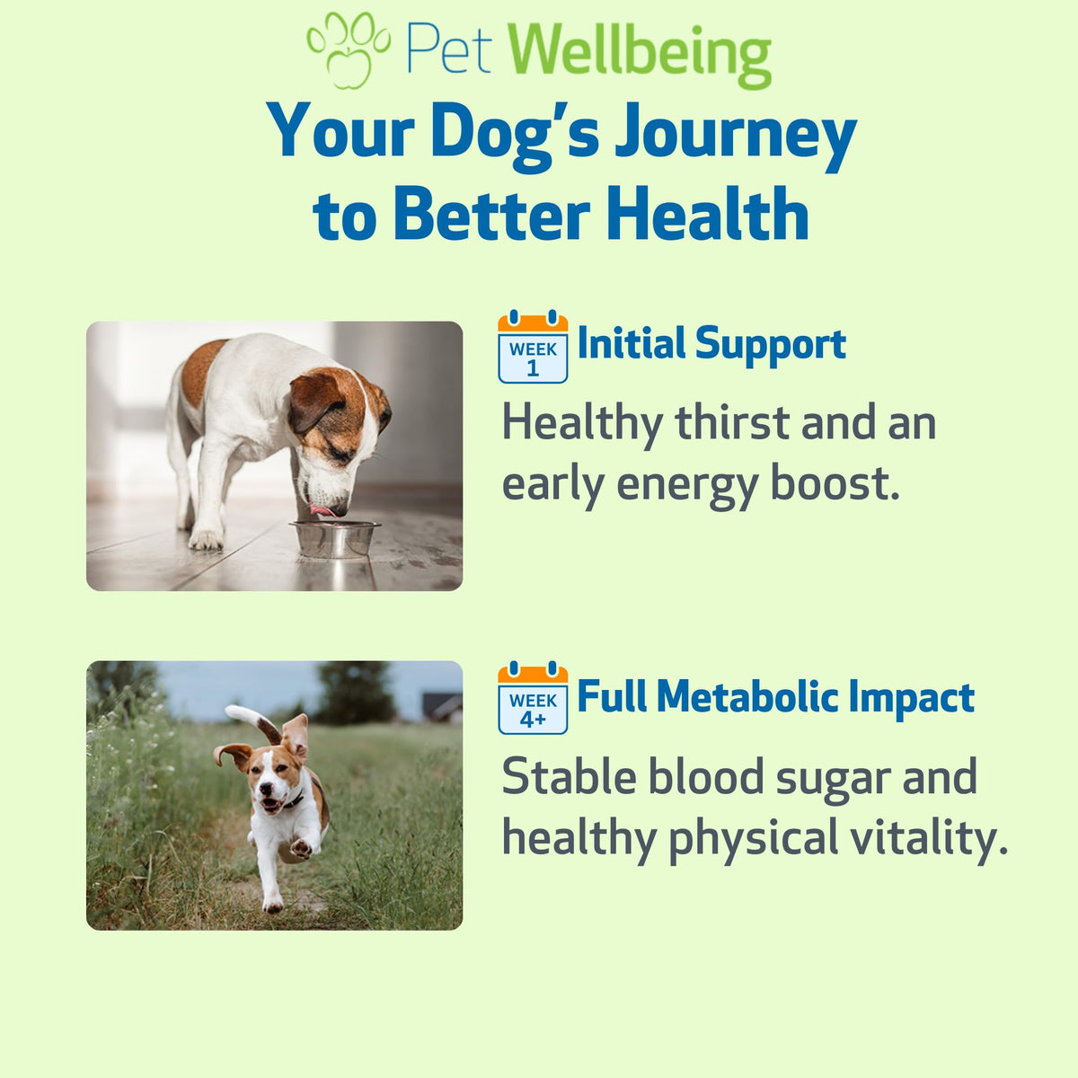 Blood Sugar Support for Dogs 2 oz E90787