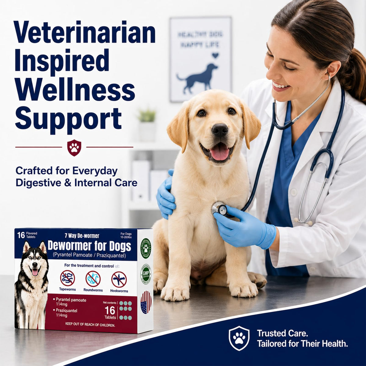 Dewormer for Dogs with Praziquantel & Pyrantel Pamoate, 16 Tablets O1348