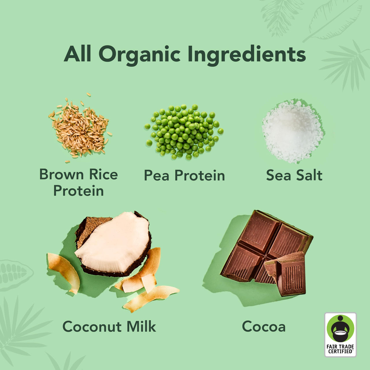 Chocolate Sea Salt Organic Plant Based Protein Drink M6442