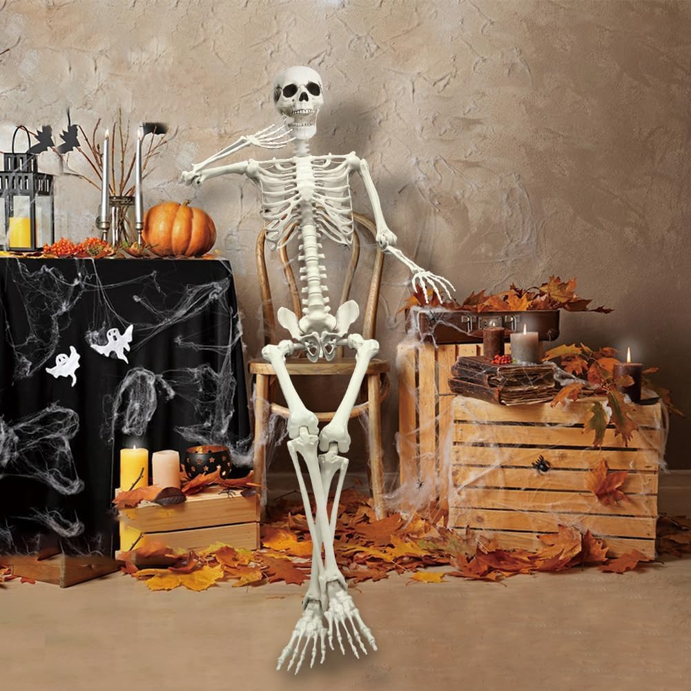 Full Size Poseable Plastic Skeleton F181