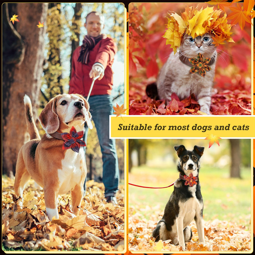 60 Pcs Fall Dog Collar E70266