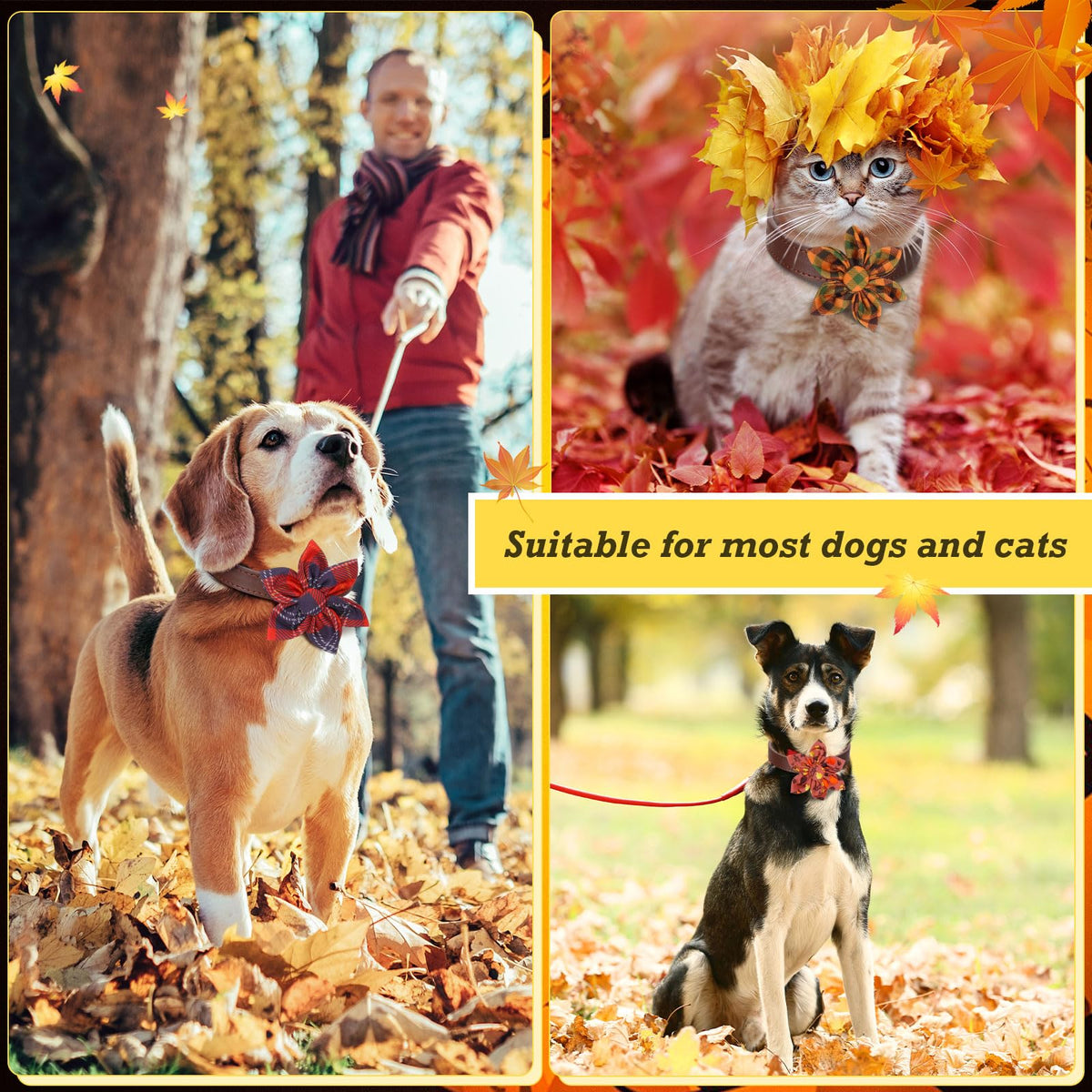 60 Pcs Fall Dog Collar E70266