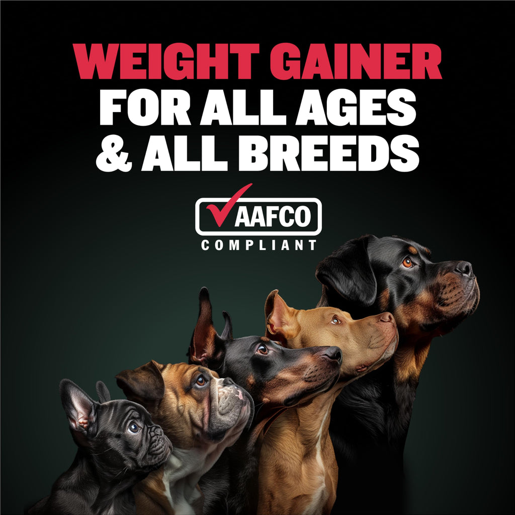 15lb Dry Dog Food P60395