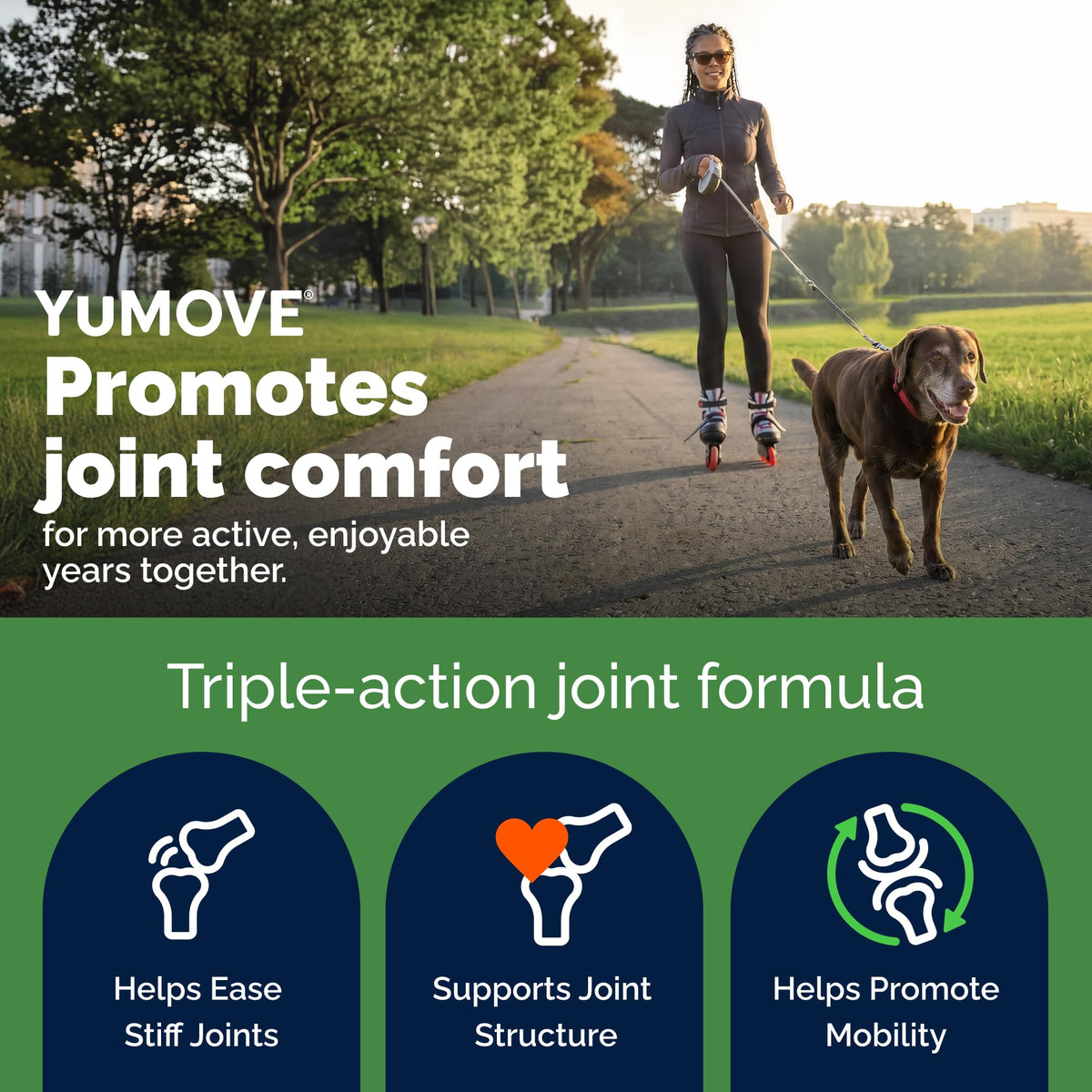 Senior Dog Hip & Joint Supplement 120ct G89837