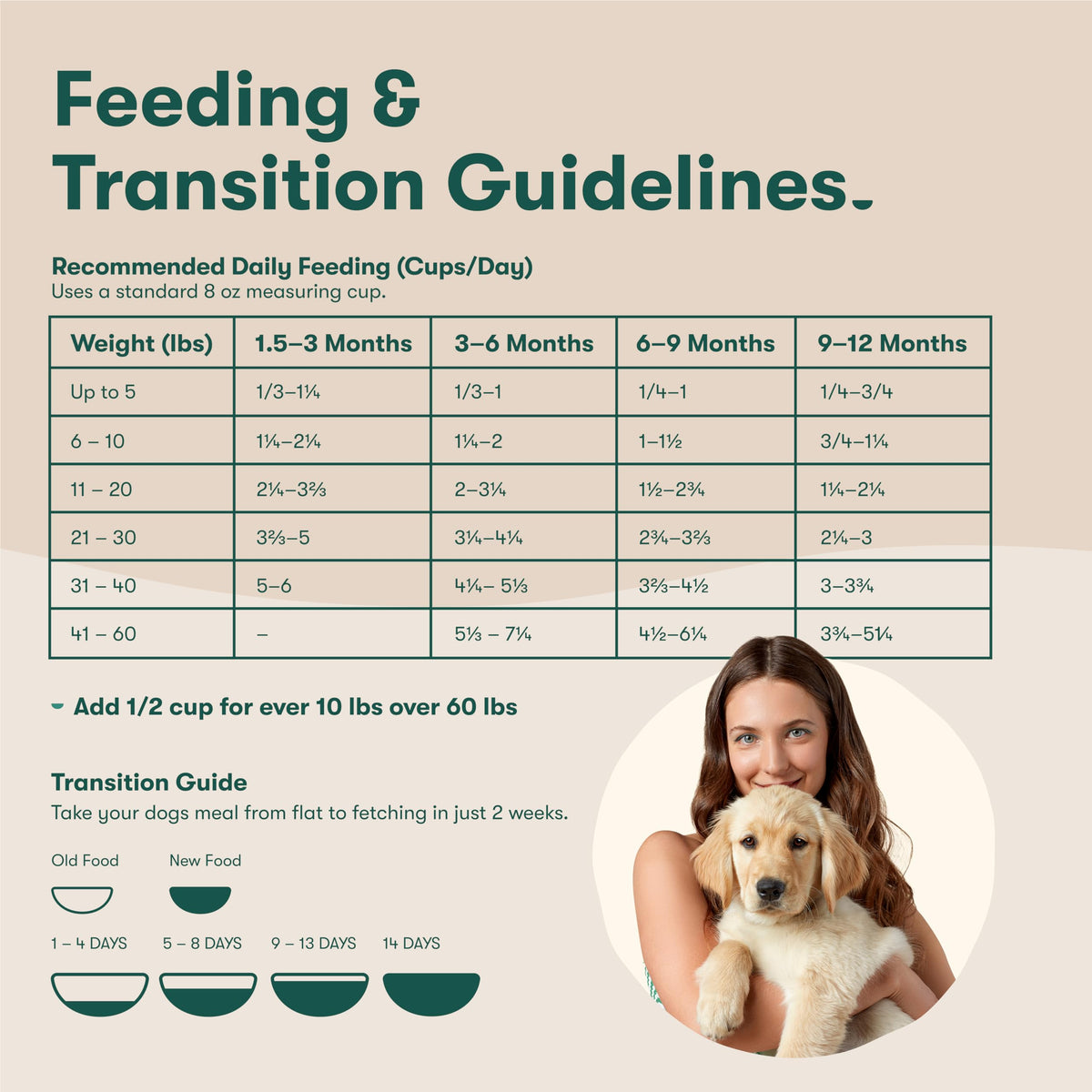 Dry Dog Food Chicken Brown Rice Sweet Potato 4lb T410