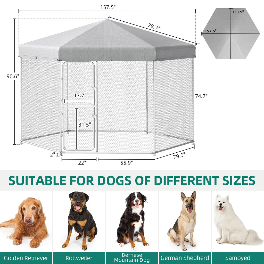 Extra Large Outdoor Dog Kennel T1809