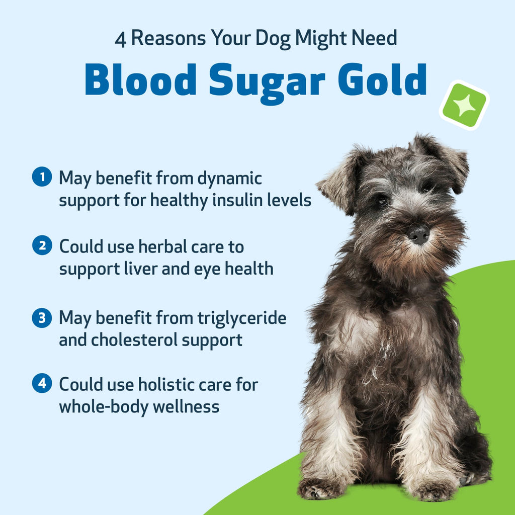 Blood Sugar Support for Dogs 2 oz E90787
