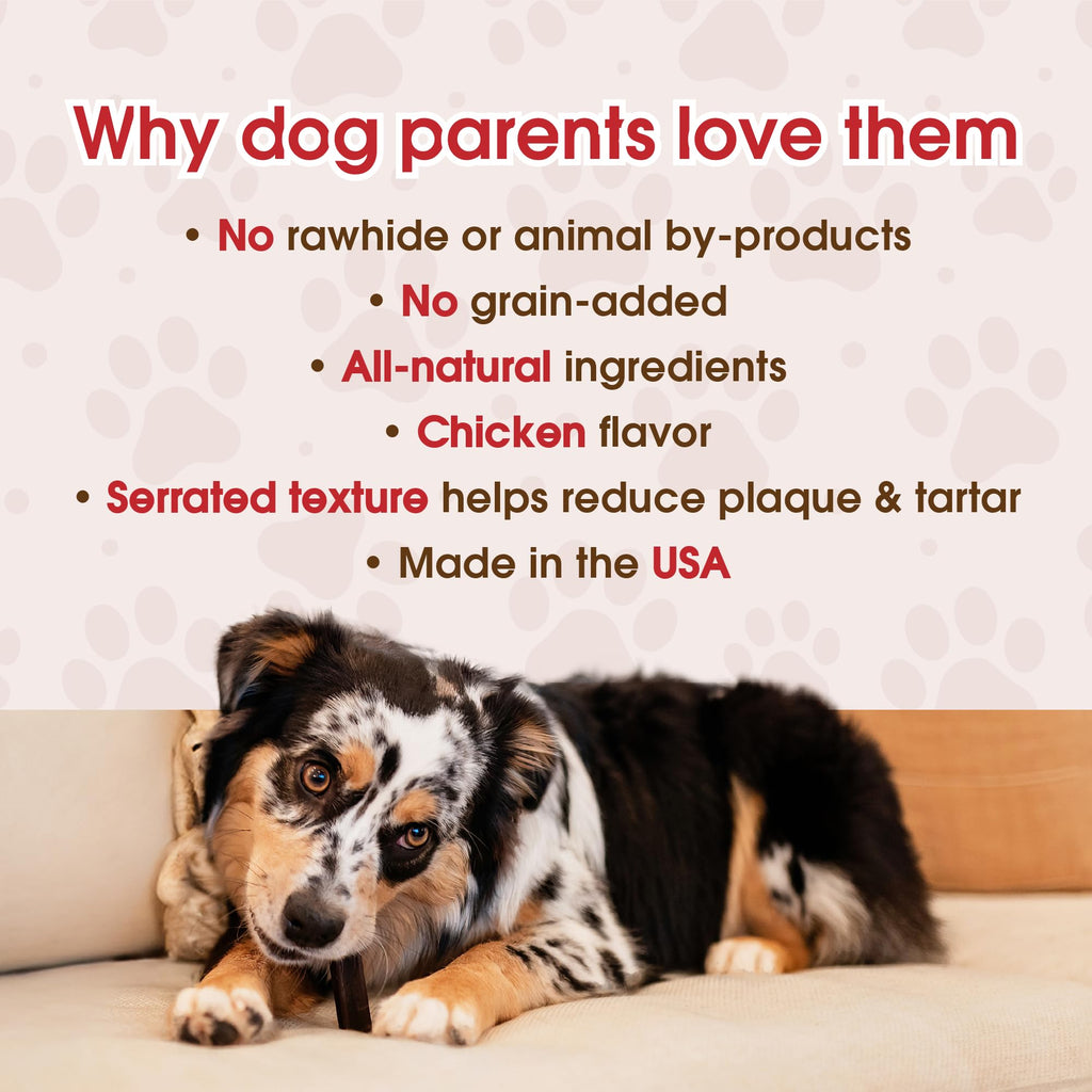 Grain-Free Dental Chew Sticks for Puppies, 6.2 oz C898085