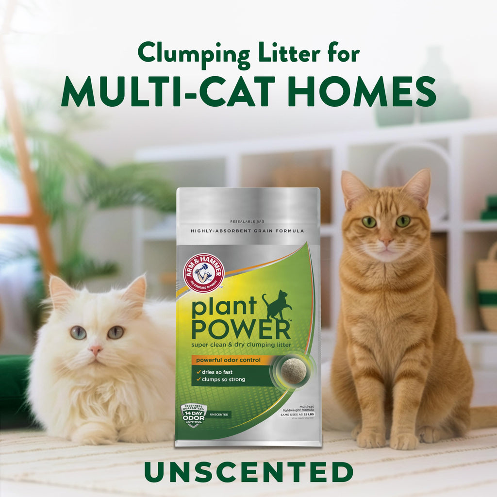 Plant-Based Clumping Cat Litter Unscented 15 Lbs C6116