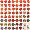 60 Pcs Fall Dog Collar E70266