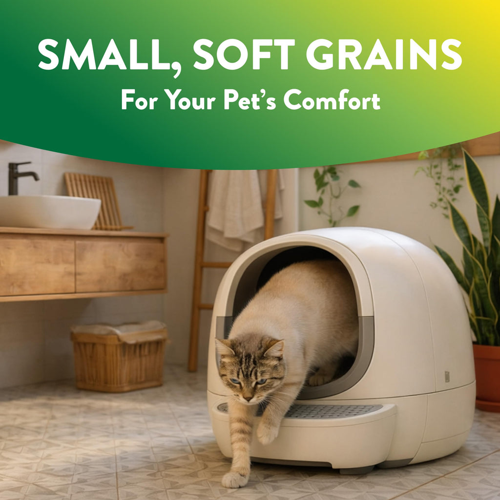 Plant-Based Clumping Cat Litter Unscented 15 Lbs C6116