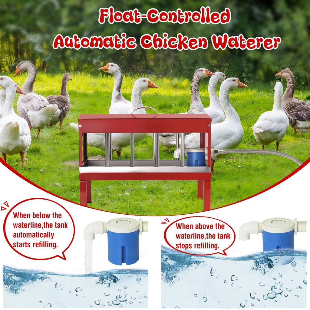 Stainless Steel Automatic Chicken Waterer N744