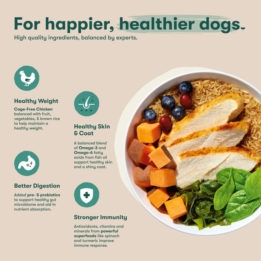 Dry Dog Food Chicken Brown Rice Sweet Potato 4lb T410