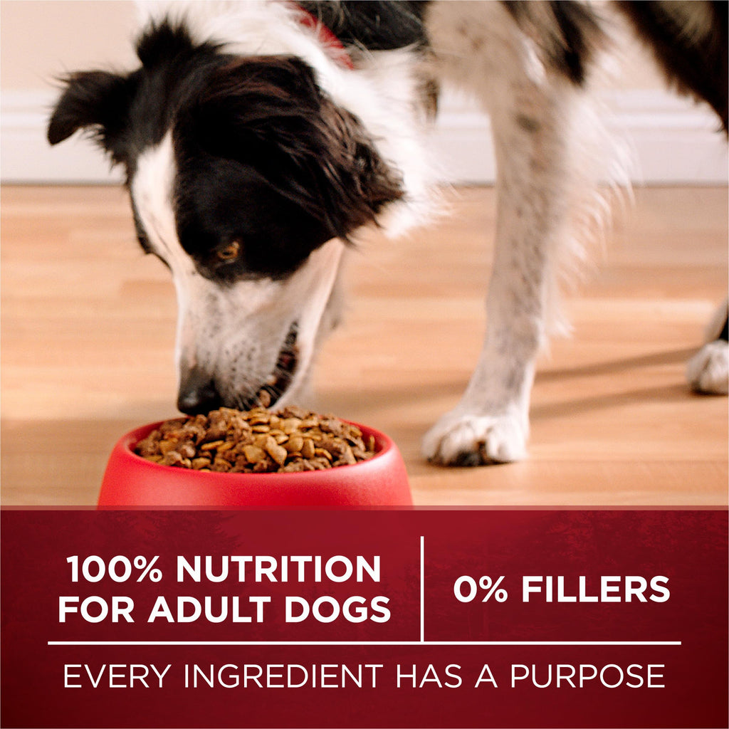 High Protein Chicken & Duck Dog Food A270