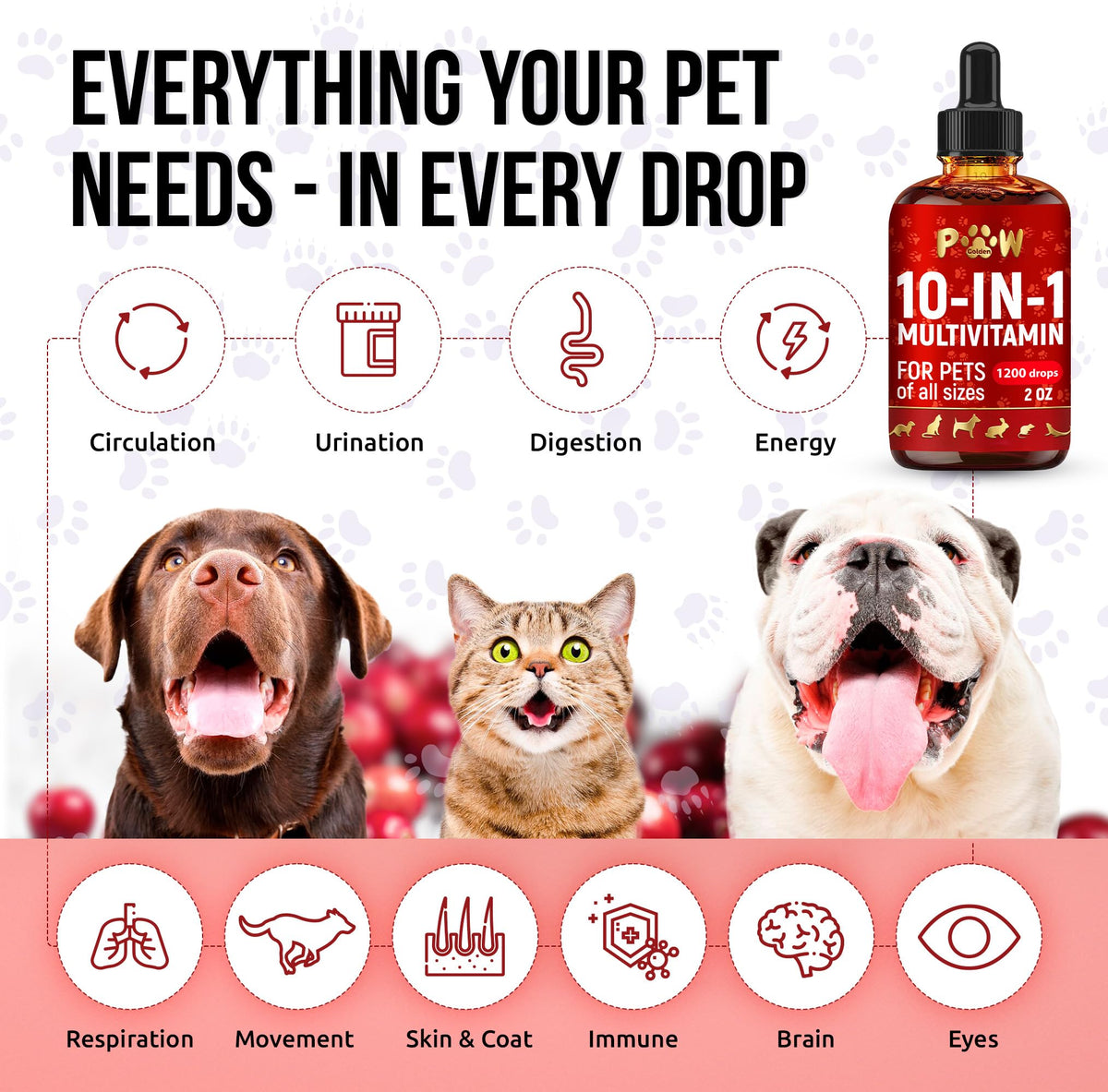 Liquid Multivitamin for Dogs and Cats 2 oz J1397