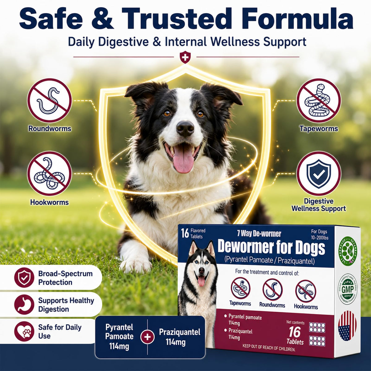 Dewormer for Dogs with Praziquantel & Pyrantel Pamoate, 16 Tablets O1348