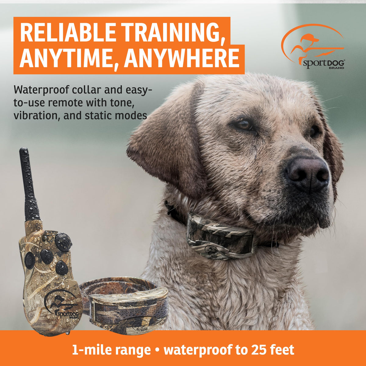 Remote Trainer 1 Mile Range 21 Static Levels D1826