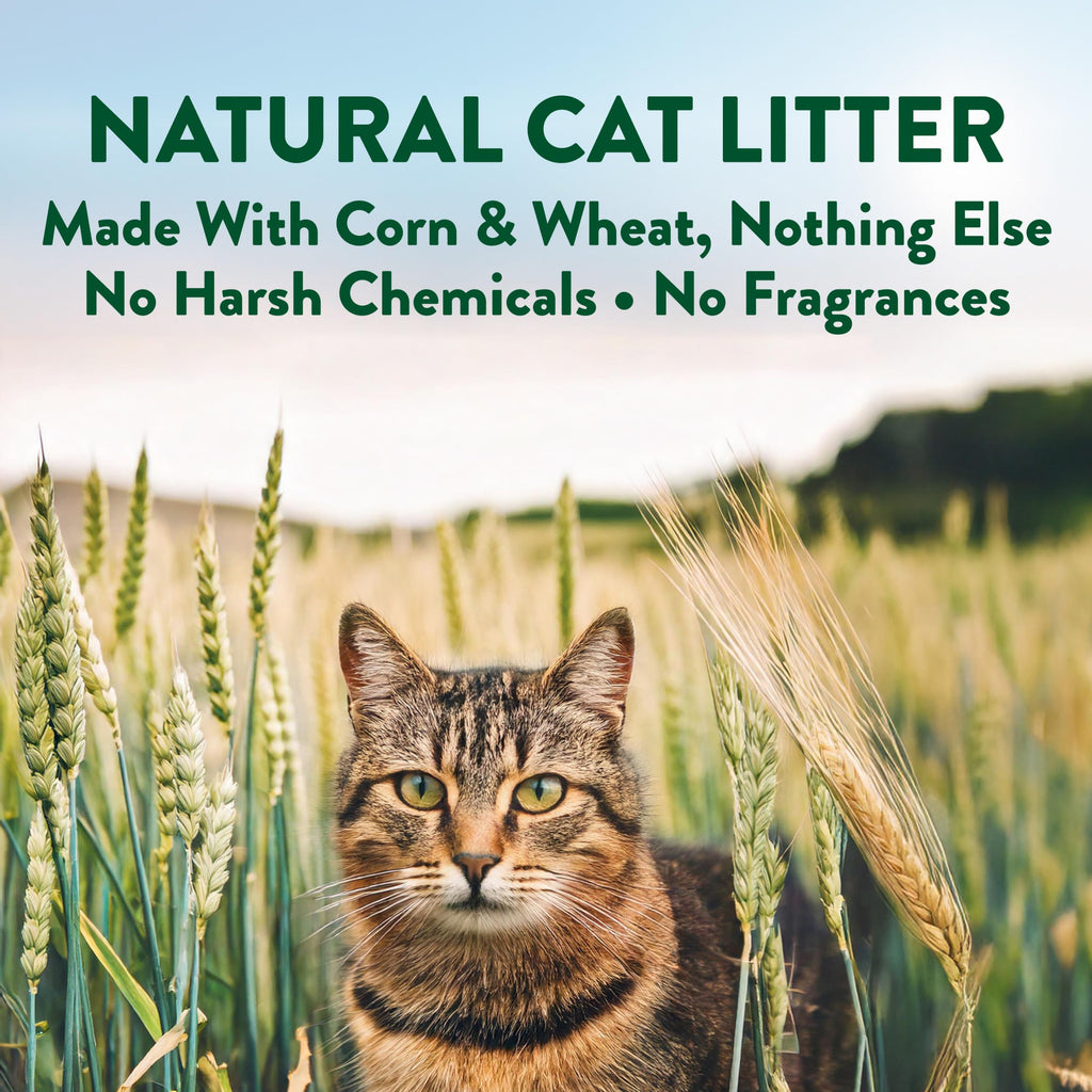 Plant-Based Clumping Cat Litter Unscented 15 Lbs C6116